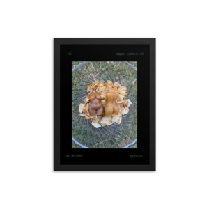 “Mōmona” - Image 2